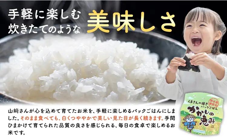かかしの恵み パックごはん 白米 150g×6個 かかし農場《30日以内に出荷予定(土日祝除く)》