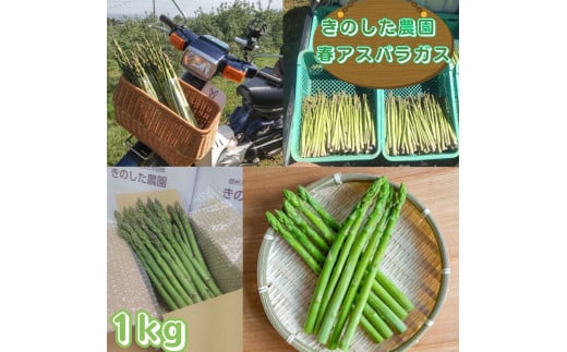 きのした農園の春アスパラガス 4月中旬より発送開始 長野県 信州 南信州 高森町 春の味覚 春の野菜 やさい
