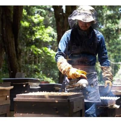 ふるさと納税 和泉市 【1種】いずみつアカシア 200g　 倒立型 蜜切れ抜群ボトル |  | 01