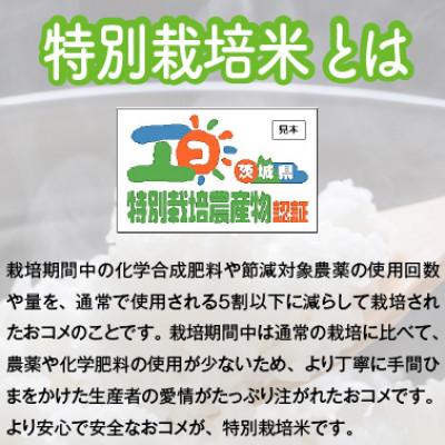 ふるさと納税 稲敷市 【令和6年産・自家栽培・自家精米・農家直送】特別栽培米稲敷市産あきたこまち 10kg(5kg×2袋) |  | 03