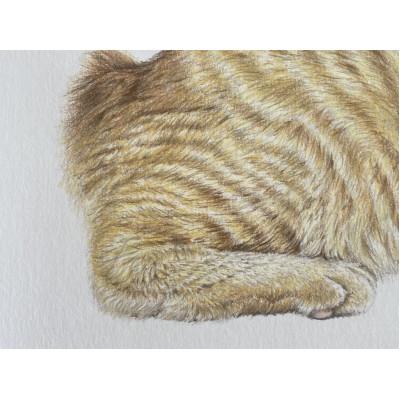 ふるさと納税 愛西市 ペット肖像画A4サイズ計1枚 |  | 02