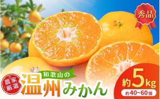 【先行予約】 和歌山県産温州みかん約5kg（約40個～60個）秀品　2025年11月初旬頃から2026年1月中旬頃順次発送予定【kgr032】