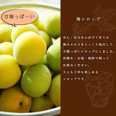 ふるさと納税 枕崎市 【お中元】ふかざわ農園の梅シロップ 180ml×3瓶　手づくり シロップ 希釈用  A3-27C |  | 01