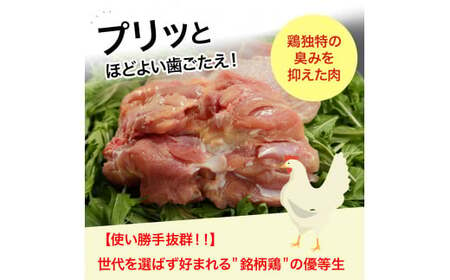 ★高知育ちの銘柄鶏　四万十鶏★　もも肉１kg ／Adf-A29