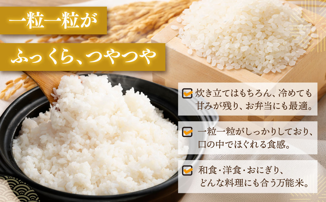 【新米受付・令和8年産米】新潟県村上市　岩船産コシヒカリ6kg（2kg×３袋）　1103001N