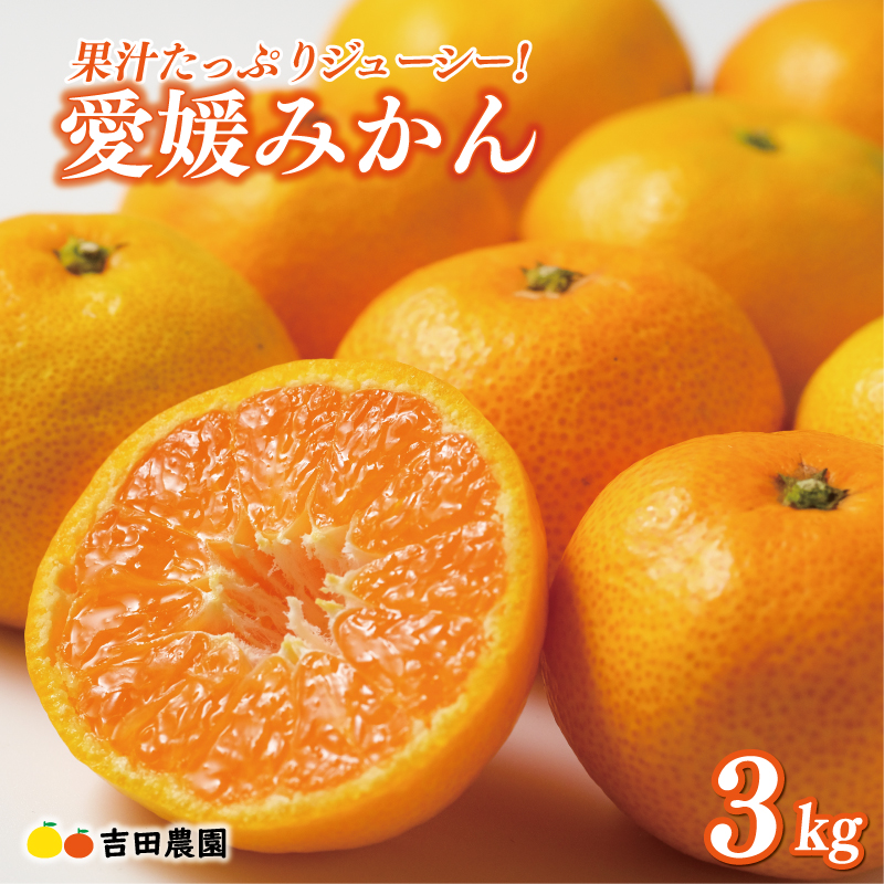 先行予約 愛媛みかん 3kg 9000円 愛媛 みかん 温州みかん こたつ みかん mikan 蜜柑 ミカン 家庭用 贈答用 ギフト プレゼント お歳暮 産地直送 国産 農家直送 糖度 期間限定 数量限定 特産品 ゼリー ジュース アイス 人気 限定 甘い フルーツ 果物 柑橘 先行 事前 予約 受付 ビタミン 美味しい おいしい 吉田農園 愛南町 愛媛県