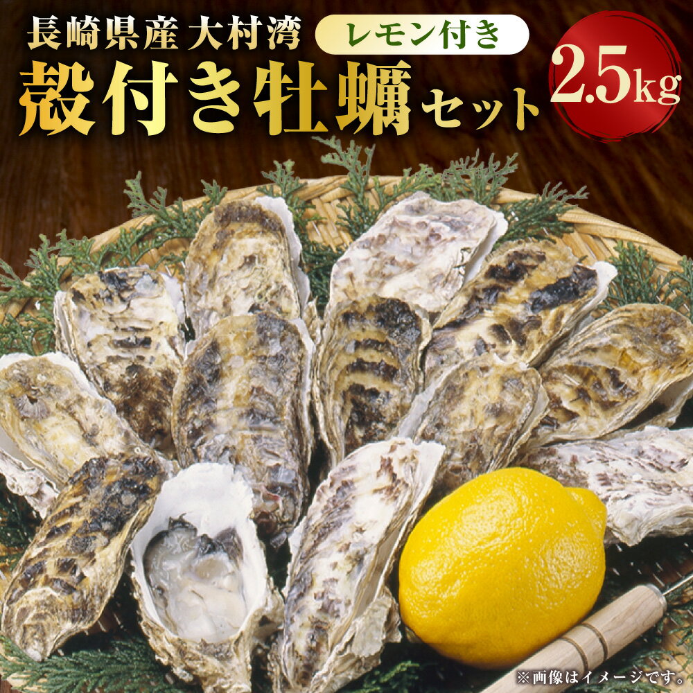 【ふるさと納税】長崎県産 大村湾殻付き牡蠣セット2.5kg 浜揚げ直送（軍手 牡蠣ナイフ1本 レモン付） かき カキ 牡蠣 貝 殻付き 焼き牡蠣 セット 海鮮 グルメ 国産 セット 長崎県 送料無料 【2026年1月上旬～2月下旬迄発送予定】