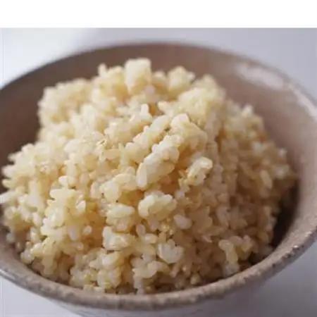 有機こしひかり【玄米】500g×6袋(令和7年産)【1709186】