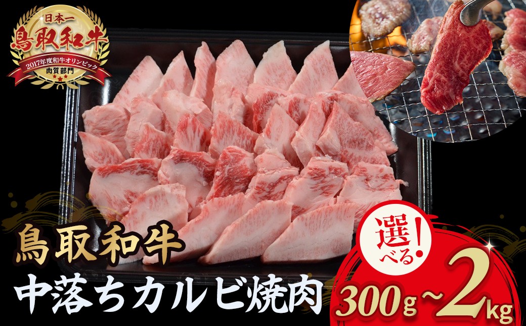 
                  鳥取和牛 中落ちカルビ焼肉 300g～2kg 国産 ブランド牛 牛肉 焼き肉 焼肉 和牛 黒毛和牛 肉 カルビ バラ BBQ 冷凍 鳥取県 倉吉市
                