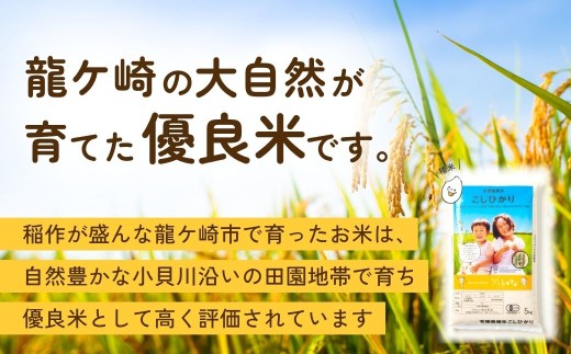 コシヒカリ 特別栽培米 精米 10kg 天皇杯受賞！横田農場のこしひかり ❙ こしひかり コシヒカリ 厳選米 お米 米 こめ 白米 精米 特別栽培米 冷めてもおいしい 美味しい こだわり おにぎり 天