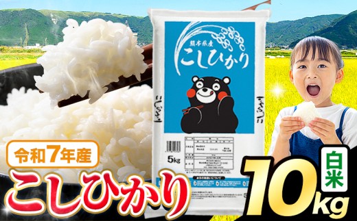 令和7年産  白米 こしひかり 10kg 5kg×2袋 《7-14日以内に出荷予定(土日祝を除く)》熊本県産 ふるさと納税 白米 精米 米 こめ ふるさとのうぜい コシヒカリ コメ お米 おこめ