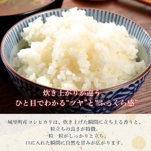 【9カ月定期便】コシヒカリ 5kg（茨城県共通返礼品・城里町産） / 米 こめ コメ お米 おこめ コシヒカリ こしひかり 白米 精米 ごはん ご飯 令和7年産 5kg 定期便 茨城県 城里町 利根町