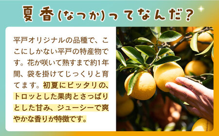 【全3回定期便】【自家栽培の柑橘のみを使用】みかん ジュース 3本 セット【善果園】[KAA524]