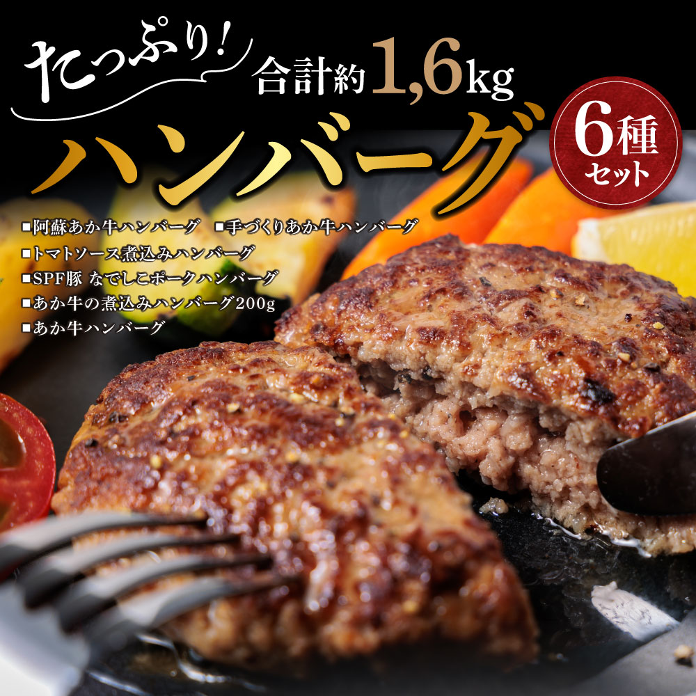 【ふるさと納税】熊本県阿蘇市 あか牛ハンバーグ 冷凍 食べ比べ ポークハンバーグ 人気ハンバーグ 6種 13個 まとめ買い お取り寄せ 詰め合わせ 国産 豪華 おうちごはん