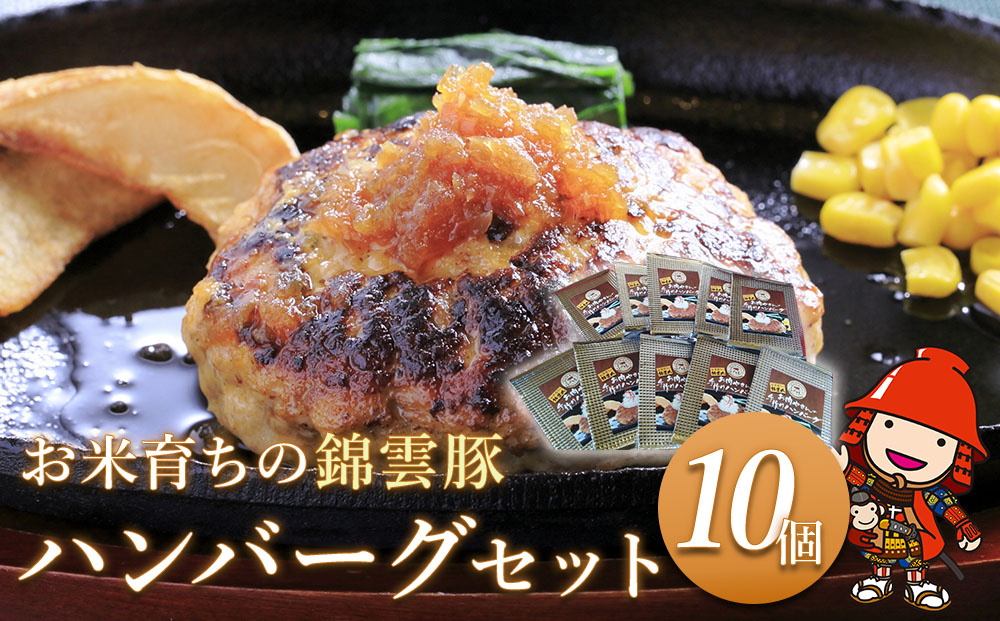 錦雲豚ハンバーグ 10個セット （100g×10個） | お肉 肉 豚 豚肉 ハンバーグ 惣菜 おかず 弁当 豚肉 国産 九州産 大分県産 ブランド豚 錦雲豚 冷凍 小分け 送料無料 大分県 中津市