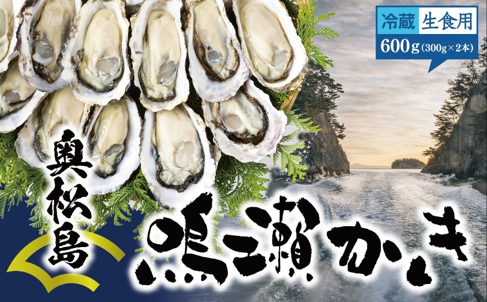 
            【選べる発送時期】牡蠣 鳴瀬かき 生食用 【期間限定】 600g (300g × 2) 宮城県 奥松島 鳴瀬 牡蠣 かき カキ 生かき 生牡蠣 オイスター むき身 海鮮 魚介 貝類 海の幸 オンラインワンストップ 申請 対応 自治体マイページ 宮城県 東松島市
          