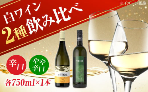 【12/18入金まで年内配送】TOMOE 白ワイン 2本セット B シャルドネ リザーブ 辛口 デラウェア ワイン 受賞 飲み比べ ワインセット ギフト 三次市/広島三次ワイナリー[APAZ017]