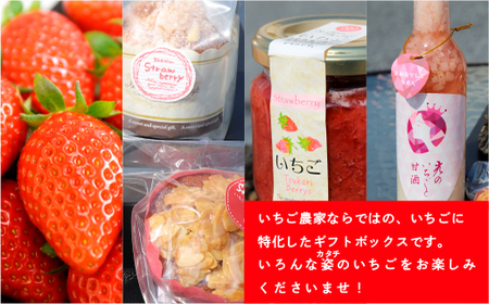 E008 特選いちごギフト（大）いちごギフト（大）詰め合わせ （光市産いちご300g×1, 甘酒 330g×1, いちごジャム×1個, 焼き菓子×5個）【100セット限定】 【2026年1月12日以降