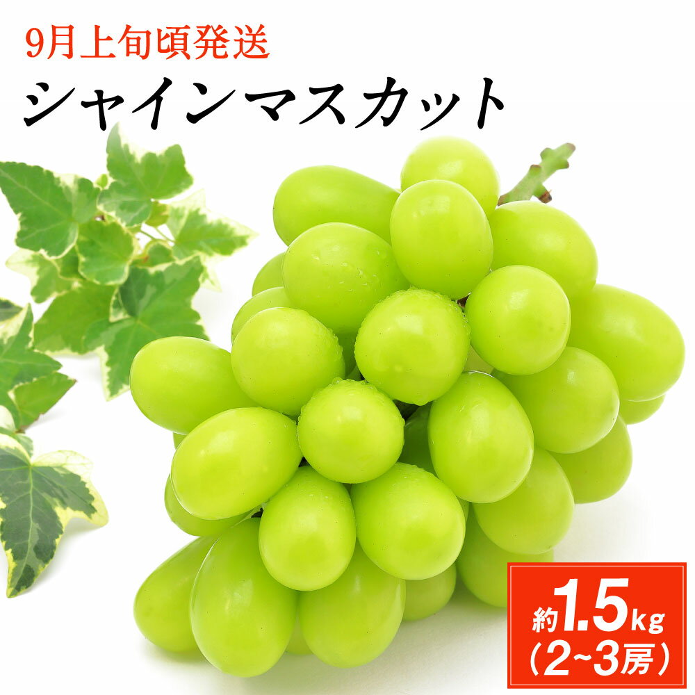 【ふるさと納税】シャインマスカット 2房 合計約1.5kg (2-3房) 果物 フルーツ ブドウ ぶどう 葡萄 旬 大分県産 九州産 冷蔵 国産 予約 送料無料【2026年9月上旬から10月上旬発送予定】