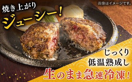 国産黒毛和牛本生ハンバーグ 計600g（120g×5個） / 佐賀県 / 株式会社中山牧場 [41AOCW004]