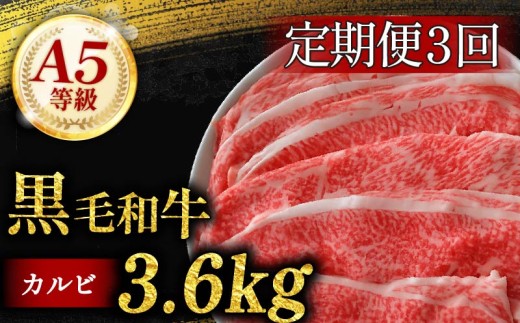 定期便 3回 黒毛和牛 カルビ 切り落とし 1.2kg 小分け 200g 牛肉 国産 すき焼き しゃぶしゃぶ 冷凍 A5 等級 牛カルビ 贅沢 バラ スライス 和牛 焼肉 鍋 簡単 調理 肉じゃが 牛丼 ビーフ カレー ギフト 贈り物 大阪府 松原市