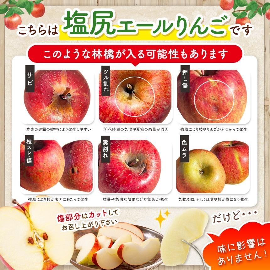 信州から直送！旬のりんごをお好きな品種で♪