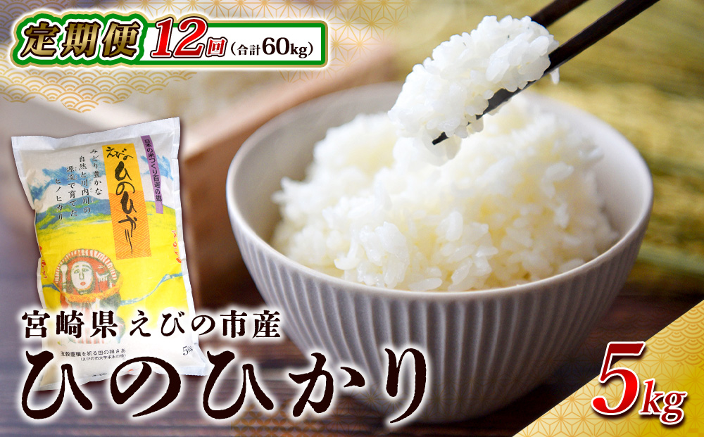 【年間定期便】えびの産 ひのひかり 5kg×12ヶ月 合計 60kg 米 定期便 お米 おにぎり お弁当 TKG ヒノヒカリ 九州 宮崎県 特選米 冷めても美味しい 送料無料