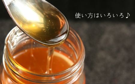 【福岡県築上町産】上村さん家の はちみつ 「築上町の 和蜜 」1kg【上村 忍】 日本 蜜蜂 にほん みつばち [ABBX003]
