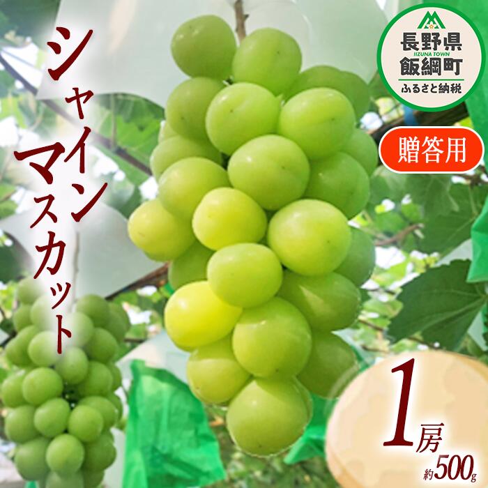【ふるさと納税】 ぶどう シャインマスカット 贈答用 1房 ( 約 500g ) ファームトヤ配送は本州限定 令和7年度収穫分 長野県 飯綱町 〔 信州 果物 フルーツ ブドウ マスカット 葡萄 長野 13000円 予約 農家直送 〕発送時期：2025年9月中旬〜2025年10月上旬
