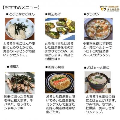 ふるさと納税 三条市 先行受付 自然薯 1本もの 約800g(1〜2本) 山芋 [まもる農園]【010P125】 |  | 03