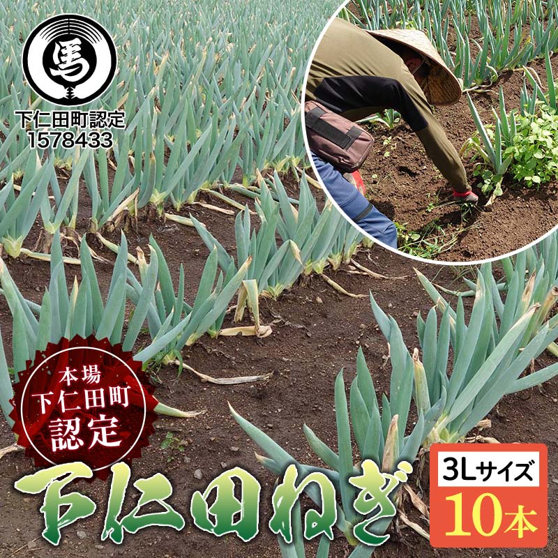 【ふるさと納税】本場下仁田町認定葱の会会員が作った下仁田ねぎ（3Lサイズ 10本） とろける 甘い ねぎ ネギ 王様ねぎ 殿様ねぎ 特産 栄養たっぷり ブランド 上州ねぎ すきやき 野菜 F21K-606