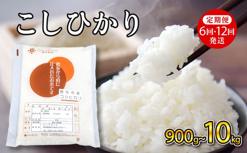 
                  【選べる容量】令和7年産 米 コシヒカリ 定期便 900g 2kg 3kg 5kg 10kg 12回 6回 毎月発送 隔月発送  スピード発送 7日以内発送  2025年産 おこめ 精米 R7 一人暮らし お試し 国産 産地直送 ご飯 ごはん 送料無料 白米 こめ コメ 贈答 ギフト プレゼント ふるさと納税 ふるさと 宿毛市 高知県
                