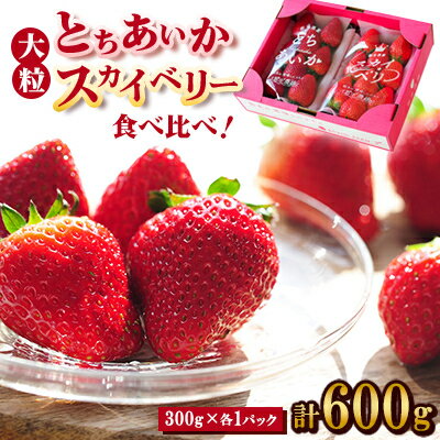 【ふるさと納税】【春イチゴ】 食べ比べ!大粒『スカイベリー』、『とちあいか』300g×1パックずつ【配送不可地域：離島】【1290960】
