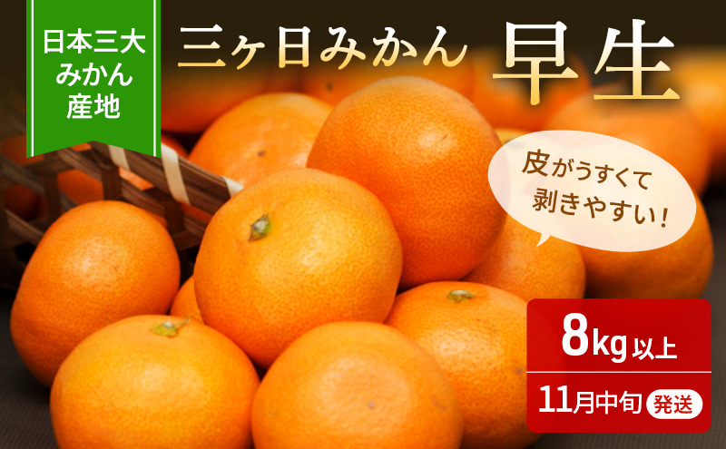 三ヶ日みかん 早生 8kg S～L 優品 11月中旬より順次発送 みかん ミカン 蜜柑 早生みかん 三ヶ日 果物 くだもの フルーツ 旬の果物 旬のフルーツ 柑橘 柑橘類 糖度 静岡 静岡県 浜松市 【配送不可：離島】