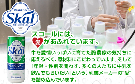 【お歳暮】『愛』を込めて・・・愛のスコール250ml×40本(2ケース)≪11月17日～12月21日お届け≫_13-2305-WG_(都城市) 炭酸飲料 スコール 250ml 20本 2ケース