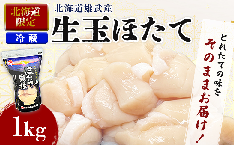 【北海道限定！】北海道雄武町産　生玉ほたて500ｇ×2塩水パック（冷蔵）｜北海道限定 生玉ホタテ 生ホタテ　大粒 ホタテ 帆立 ほたて 新鮮 500g×2 1ｋg 生 冷蔵 塩水パック オホーツク 北海道 雄武町 雄武 刺身【0713301】