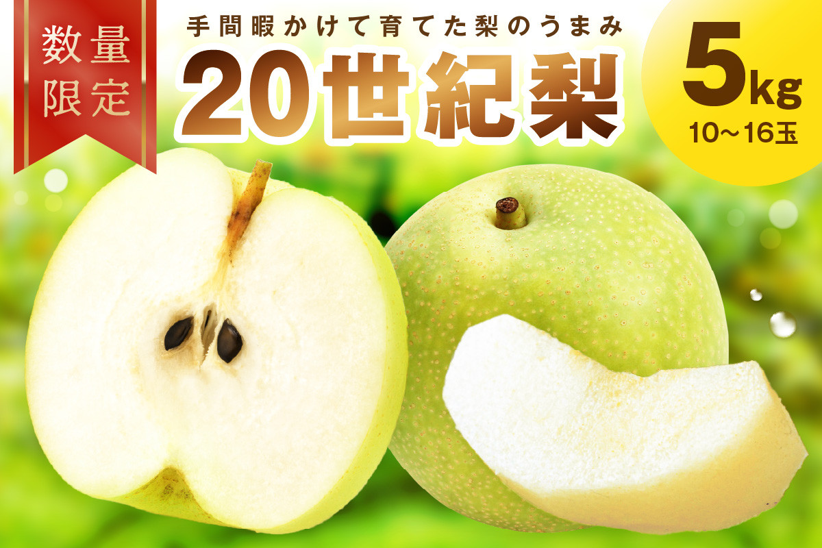 
            【先行予約／数量限定100】京都京丹後産 廿世紀梨　5kg（2025年9月上旬～発送）20世紀梨 二十世紀梨 梨 5kg　FK00007
          