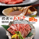 【ふるさと納税】【定期便6回】熊本県産 和牛 肥後のあか牛 焼肉用 合計3kg 500g×6回 焼き肉 やきにく 牛 牛肉 赤身 肉 お肉 スライス 焼肉 国産 冷凍 送料無料