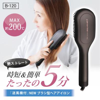 ふるさと納税 藤枝市 ケアライズ　ブラシアイロン【B-120】