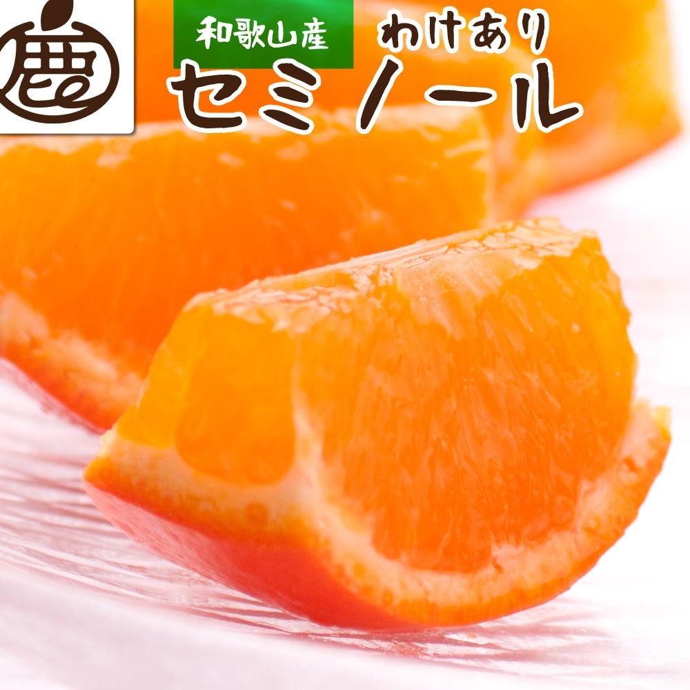 
            ＜4月より発送＞ 家庭用 セミノールオレンジ 3kg+90g（傷み補償分） 有田の春みかん 有田産 光センサー食べ頃出荷 訳あり わけあり ［IKE150］
          