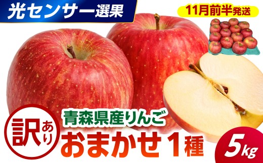 【2026年11月前半発送】【訳あり】 りんご 約5kg 品種おまかせ1種 ≪光センサー選果保証≫  青森県産