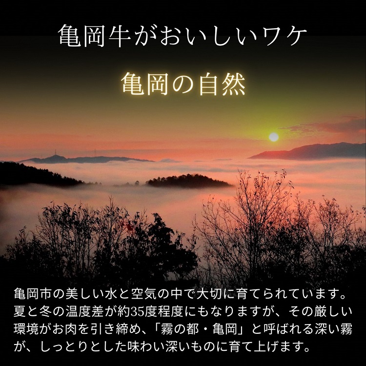 「亀岡牛」サーロインステーキ　2枚（400ｇ） ☆祝！亀岡牛 2023年最優秀賞（農林水産大臣賞）受賞≪京都 丹波 冷蔵便 牛肉≫ふるさと納税 ステーキ ふるさと納税牛肉☆※北海道・沖縄・離島への配送
