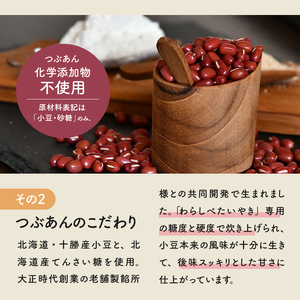 たいやきわらしべつぶあんセット[15個]