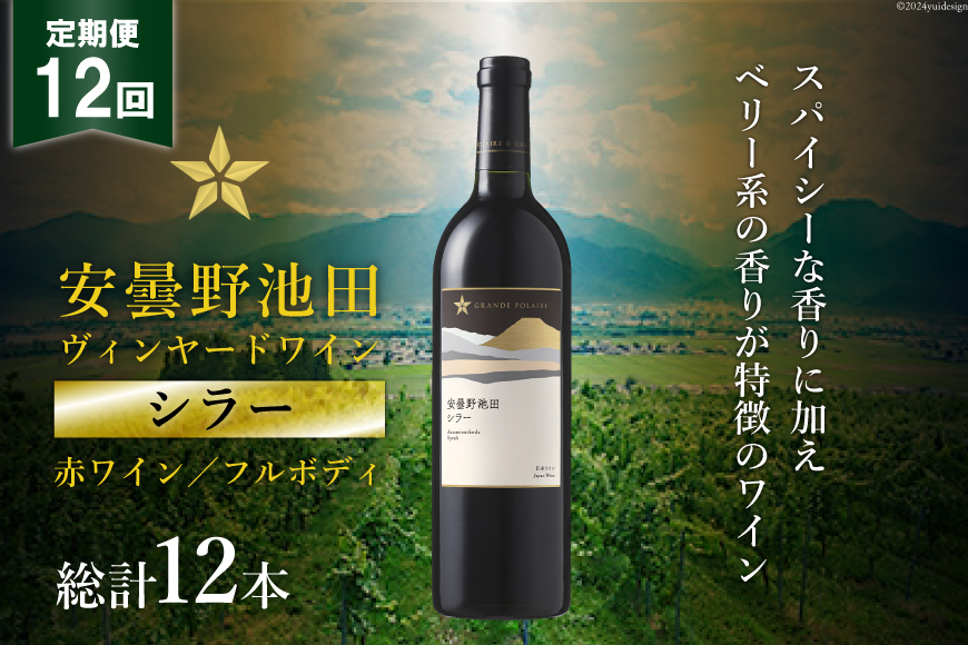 12回 定期便 赤ワイン サッポロ グランポレール 安曇野池田ヴィンヤード「シラー」750ml 総計12本 [ナチュラルマルシェ ソヨソヨ 長野県 池田町 48110857] 赤 ワイン フルボディ 濃厚 凝縮 お酒 酒