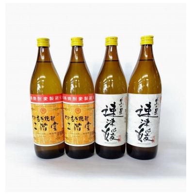 
大分むぎ焼酎　二階堂2本と速津媛2本20度(900ml)4本セット【1456979】
