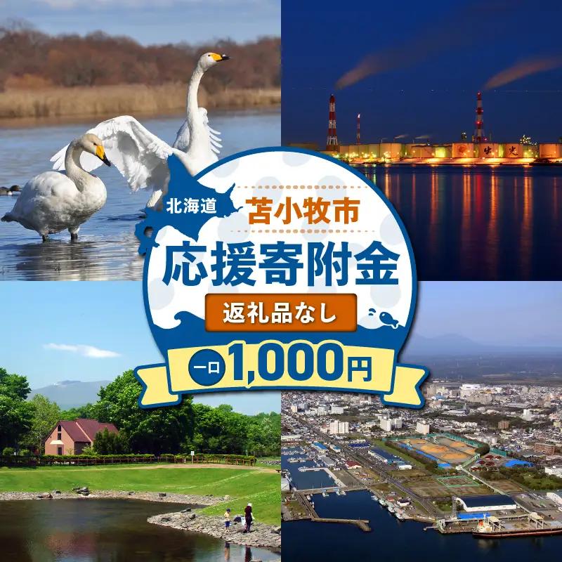 北海道 苫小牧市 応援寄附金 （ 返礼品なし ） 1,000円 T000-001-01 寄附 寄付 寄附金 寄付金 応援寄付金 雇用環境の整備 子育て環境の整備 移住促進 住みやすい環境の整備 ふるさと納税 おすすめ ランキング プレゼント ギフト