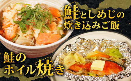 訳あり 紅鮭 1.5kg 鮭