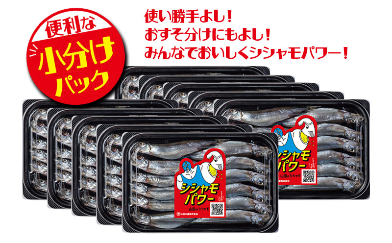 冷凍 子持ち からふとししゃも シシャモパワー1.2kg（120g×10パック）