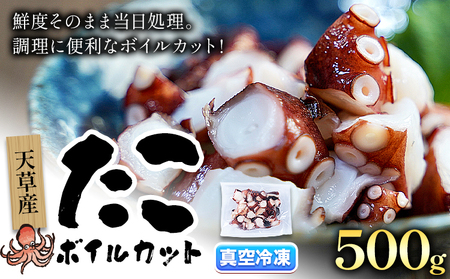 タコ ボイルカット 500g 高橋商店 たこ