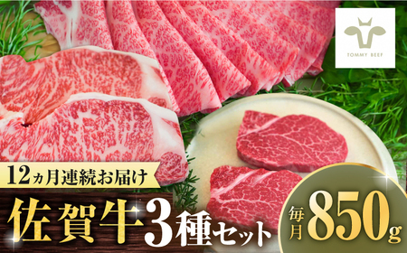 【全12回定期便】佐賀牛 すき焼き用とサーロインステーキとヒレステーキ食べ比べ 計10.2kg / ブランド牛 黒毛和牛 小分け / 佐賀県 / 有限会社佐賀セントラル牧場 [41ASAA274]